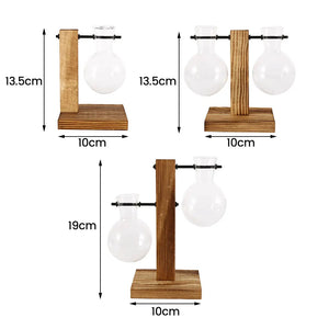  Creative Glass Bulb Vase with Wooden Stand – Tabletop Hydroponic Planter