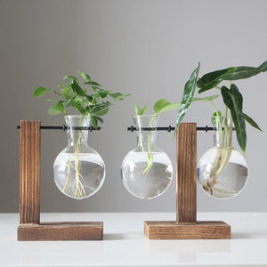  Creative Glass Bulb Vase with Wooden Stand – Tabletop Hydroponic Planter