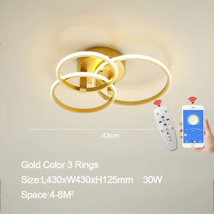 Dimming Gold Modern Led Ceiling Lights for Living Room Bedroom Led Lights for Room Indoor Lighting Led Ceiling Lamp AC90-260V