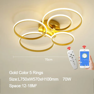 Dimming Gold Modern Led Ceiling Lights for Living Room Bedroom Led Lights for Room Indoor Lighting Led Ceiling Lamp AC90-260V