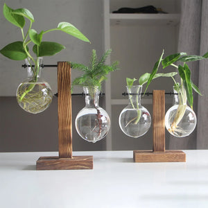  Creative Glass Bulb Vase with Wooden Stand – Tabletop Hydroponic Planter