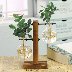  Creative Glass Bulb Vase with Wooden Stand – Tabletop Hydroponic Planter