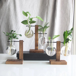  Creative Glass Bulb Vase with Wooden Stand – Tabletop Hydroponic Planter