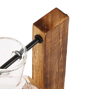  Creative Glass Bulb Vase with Wooden Stand – Tabletop Hydroponic Planter